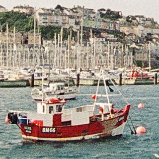 Plustek 8100, 100% scan crop