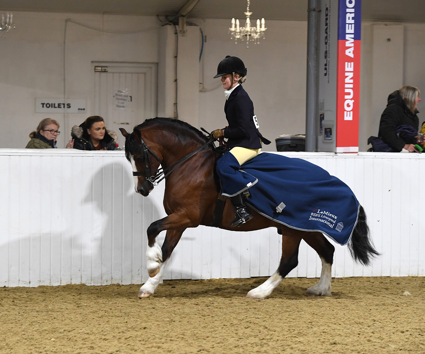 Heritage Show 16.10.21CL 80 No. 507 Danwood Llewellyn. Hannah Atkinson