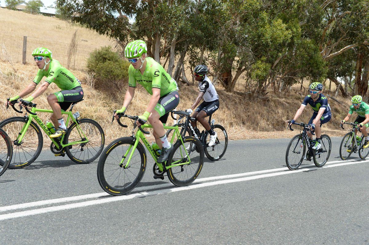 The Cannondale team