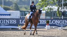 Sanne Voets and Demantur RS2 NOP claim gold in the grade IV individual at the World Para Dressage Championships