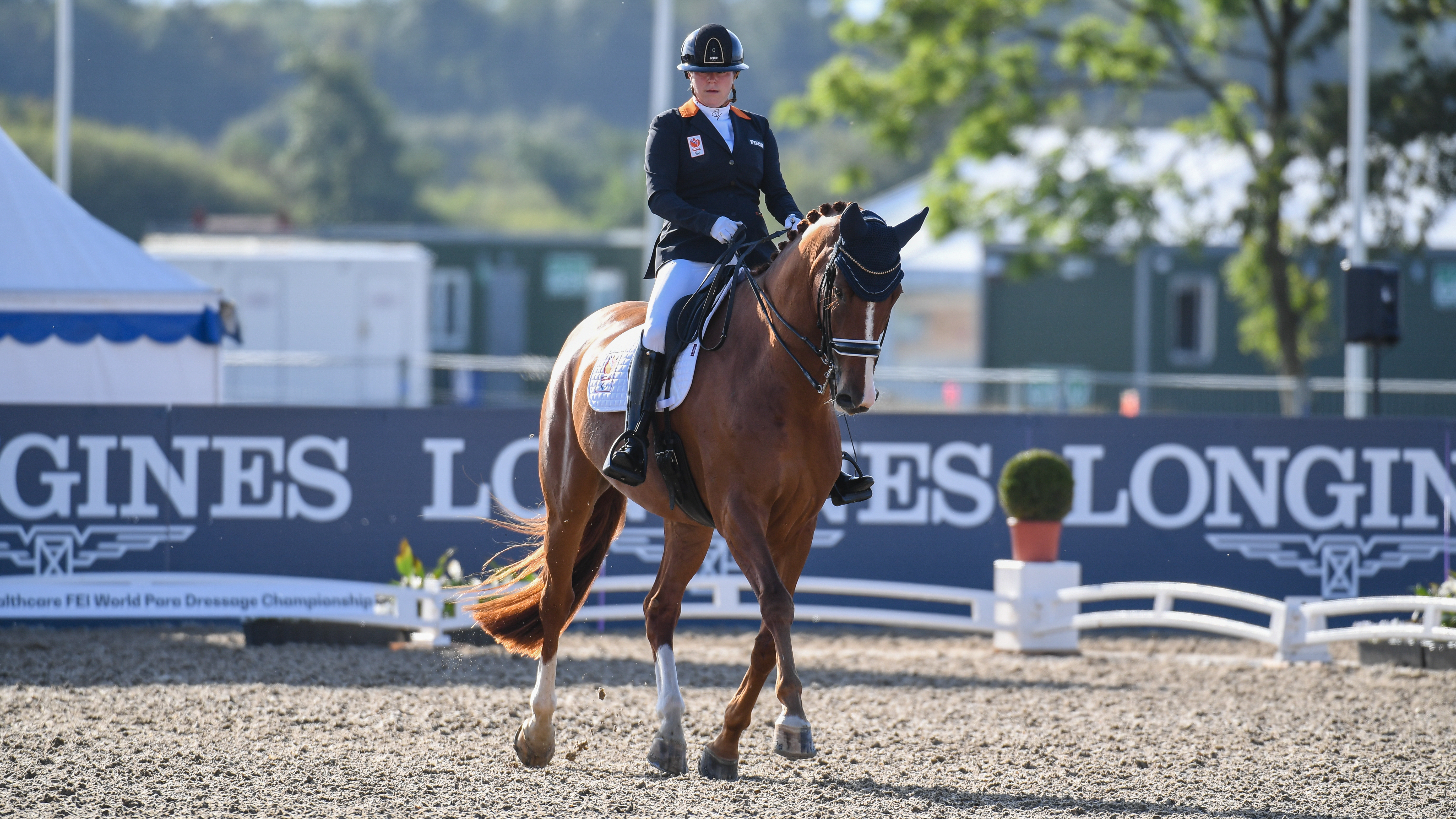 Sanne Voets and Demantur RS2 NOP claim gold in the grade IV individual at the World Para Dressage Championships