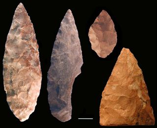 Stone tools known as bifacial points recovered from Blombos Cave, South Africa.