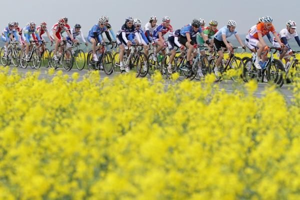 The peloton was a multinational affair...
