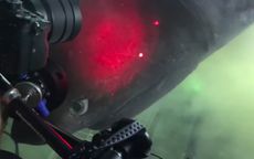 Diver comes nose-to-nose with a huge six gill shark.