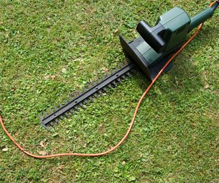 Hedge trimmer on a lawn