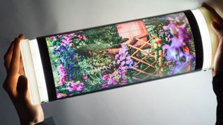 FlexEnable has a completely curved, roll-up OLCD screen