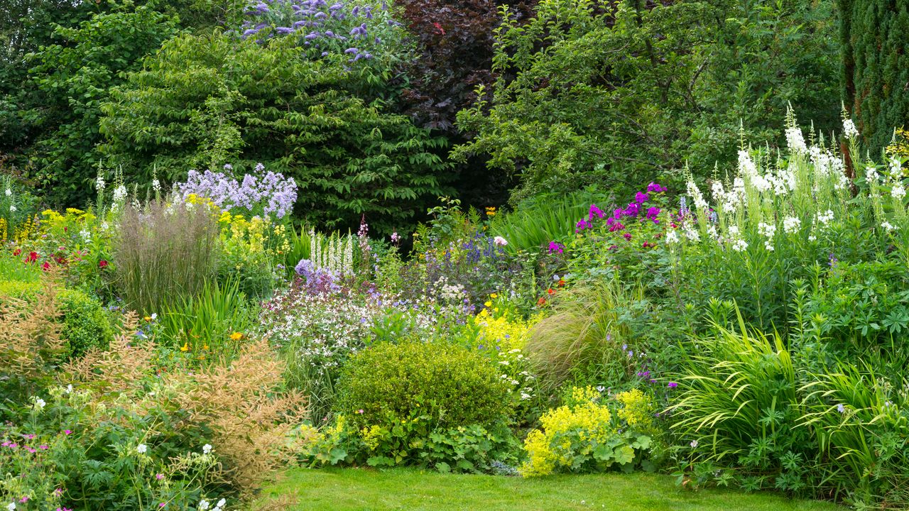 Summer flower border in full growth