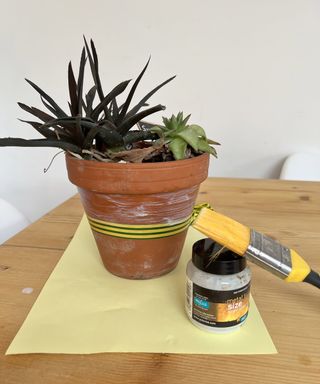 plant pot with tape on a table with paint