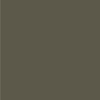 dark muddy green paint swatch