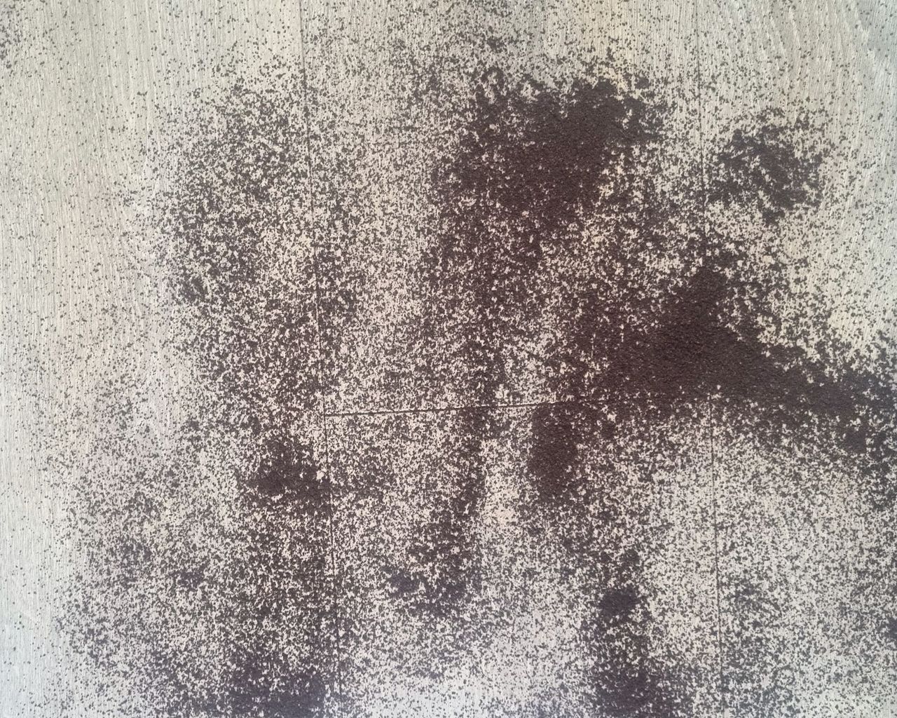 Coffee grounds scattered on a wooden floor