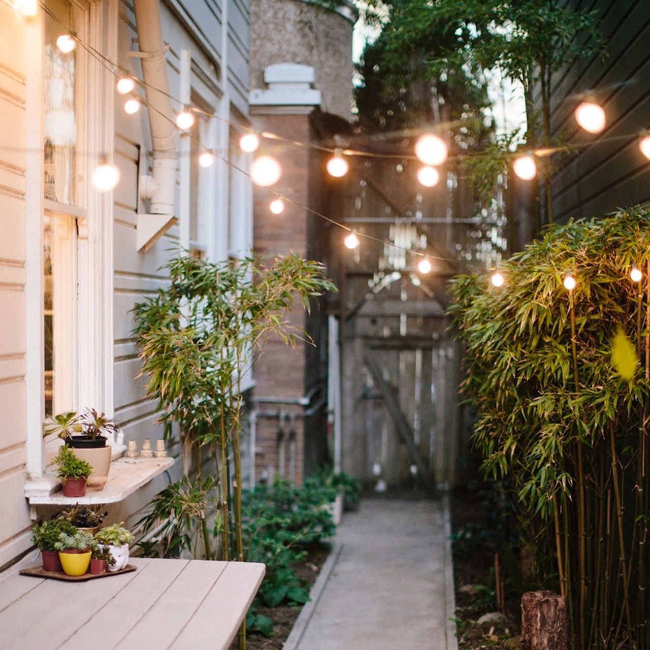 Festoon light ideas: 24 fun ways to light up your garden in style ...