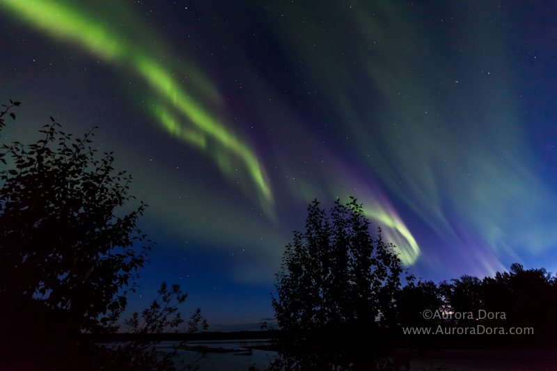 Aurora Borealis Photo by &#039;Aurora Dora&#039;