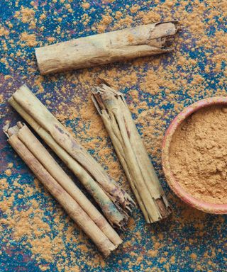 Using cinnamon in your soil