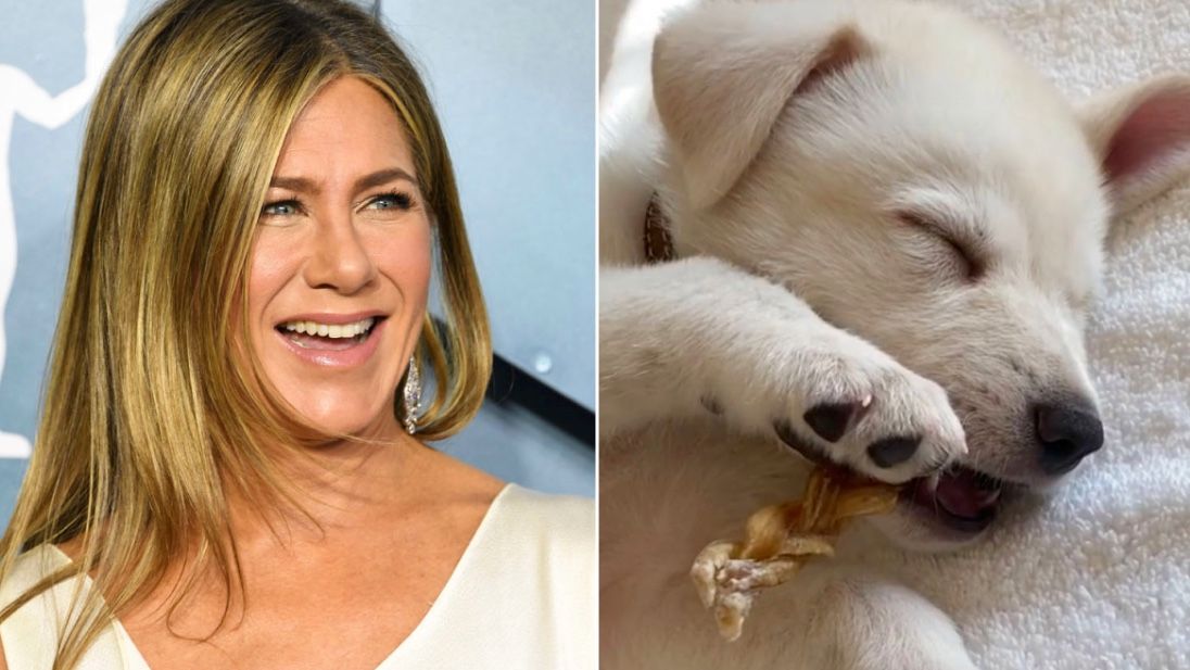 Jennifer Aniston&#039;s dogs: Picture of Jennifer Aniston and her dog Clyde