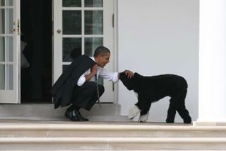 Barack and Bo, March 2012