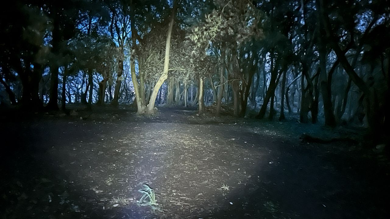 Maglite MAG-TAC Rechargeable LED Torch review