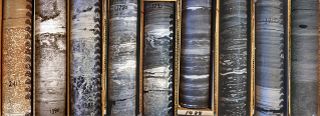 A range of sediment cores used in the study.