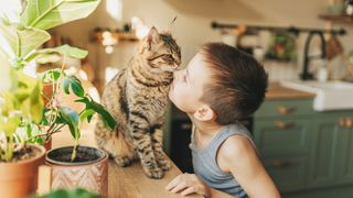 Boy nuzzling against his cat on the window 