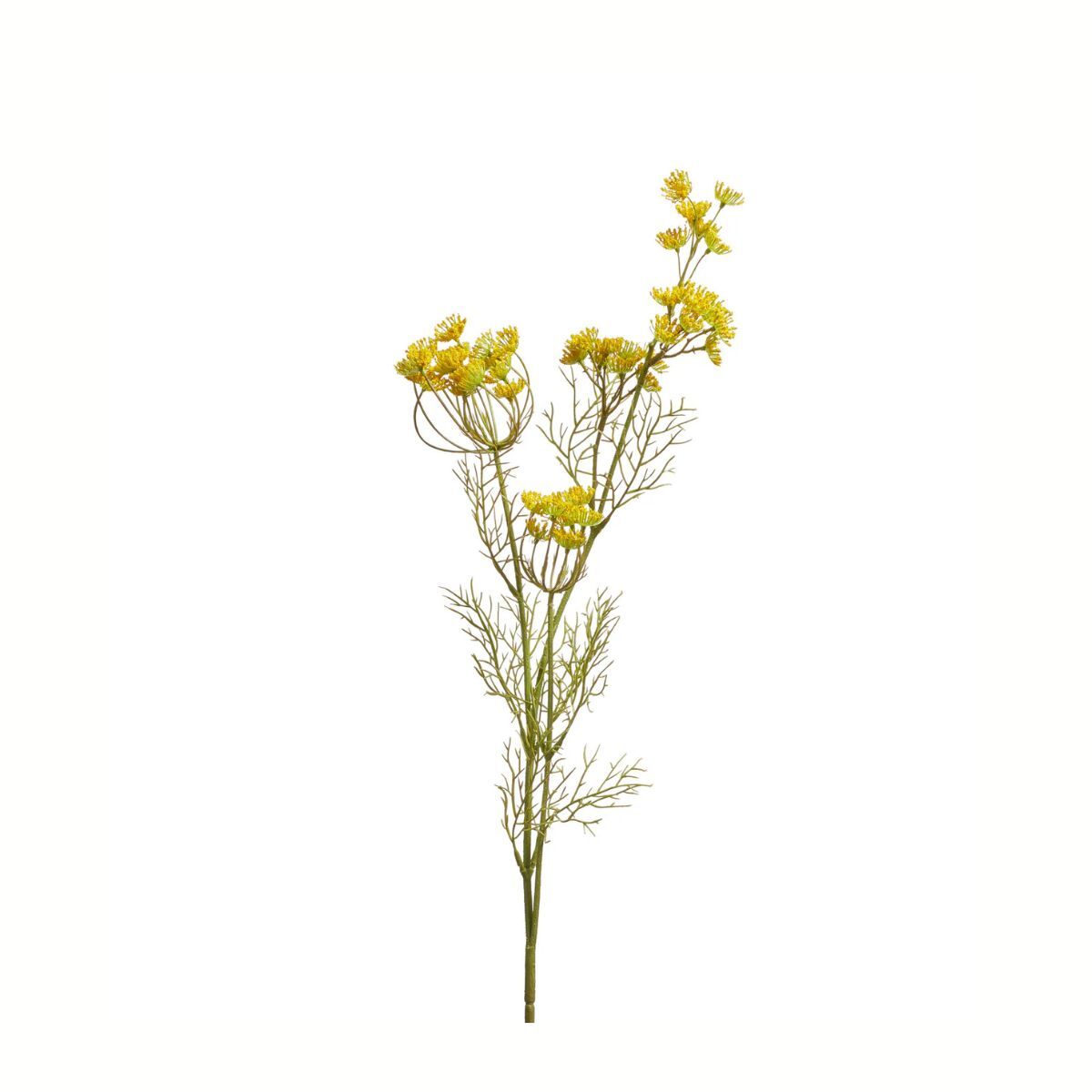 Faux queen anne&#039;s lace