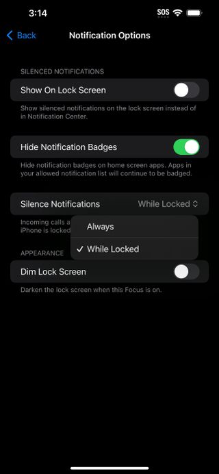 iOS 17 Focus option