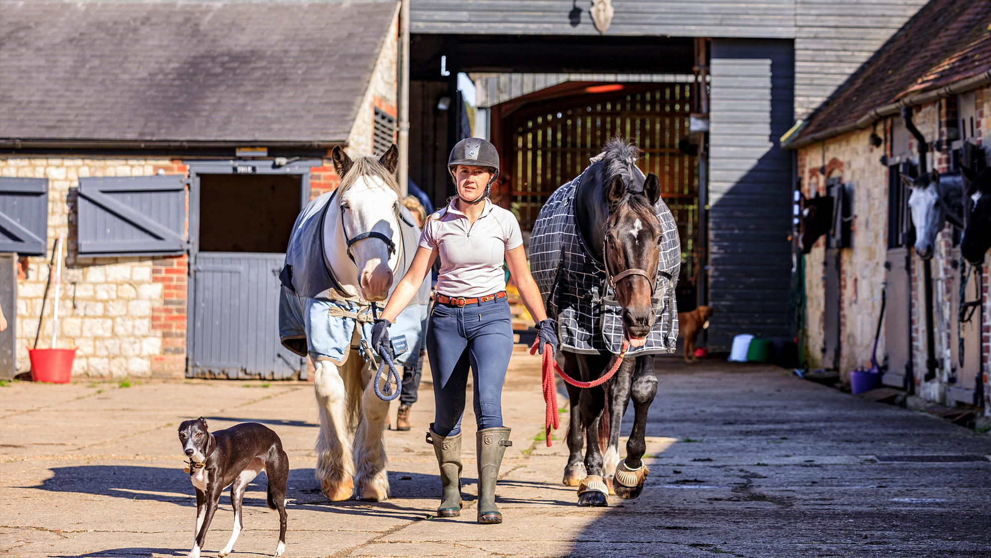 Lady leading two horses across livery yard area