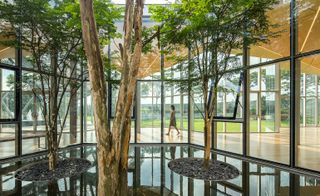 An interior of the building with reflective black flooring and trees planted in circular sectioned areas