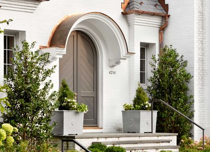 a front door surrounded by planting