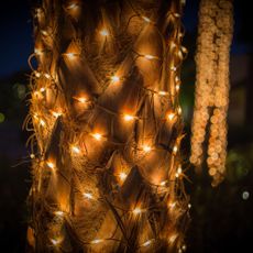 Outdoor LED net lights on tree