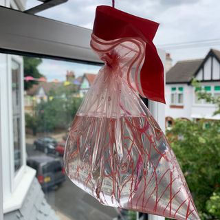 fly deterrent in plastic bag tied with red string