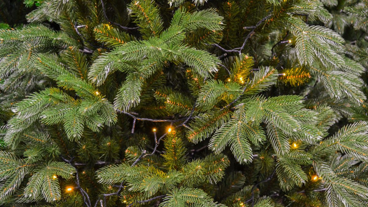 How to clean an artificial Christmas tree Top Ten Reviews