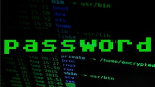 Password, written on top of a Linux directory listing.