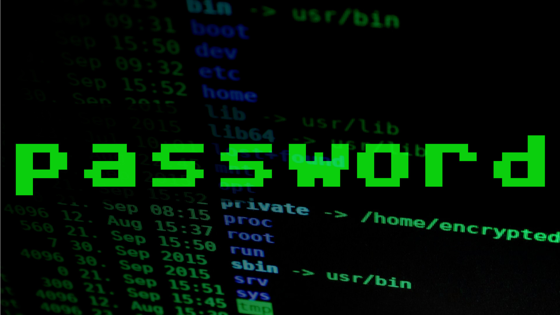 Password, written on top of a Linux directory listing.
