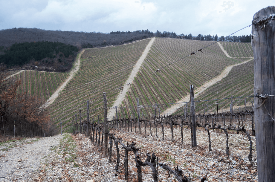 Chianti Classico Riserva