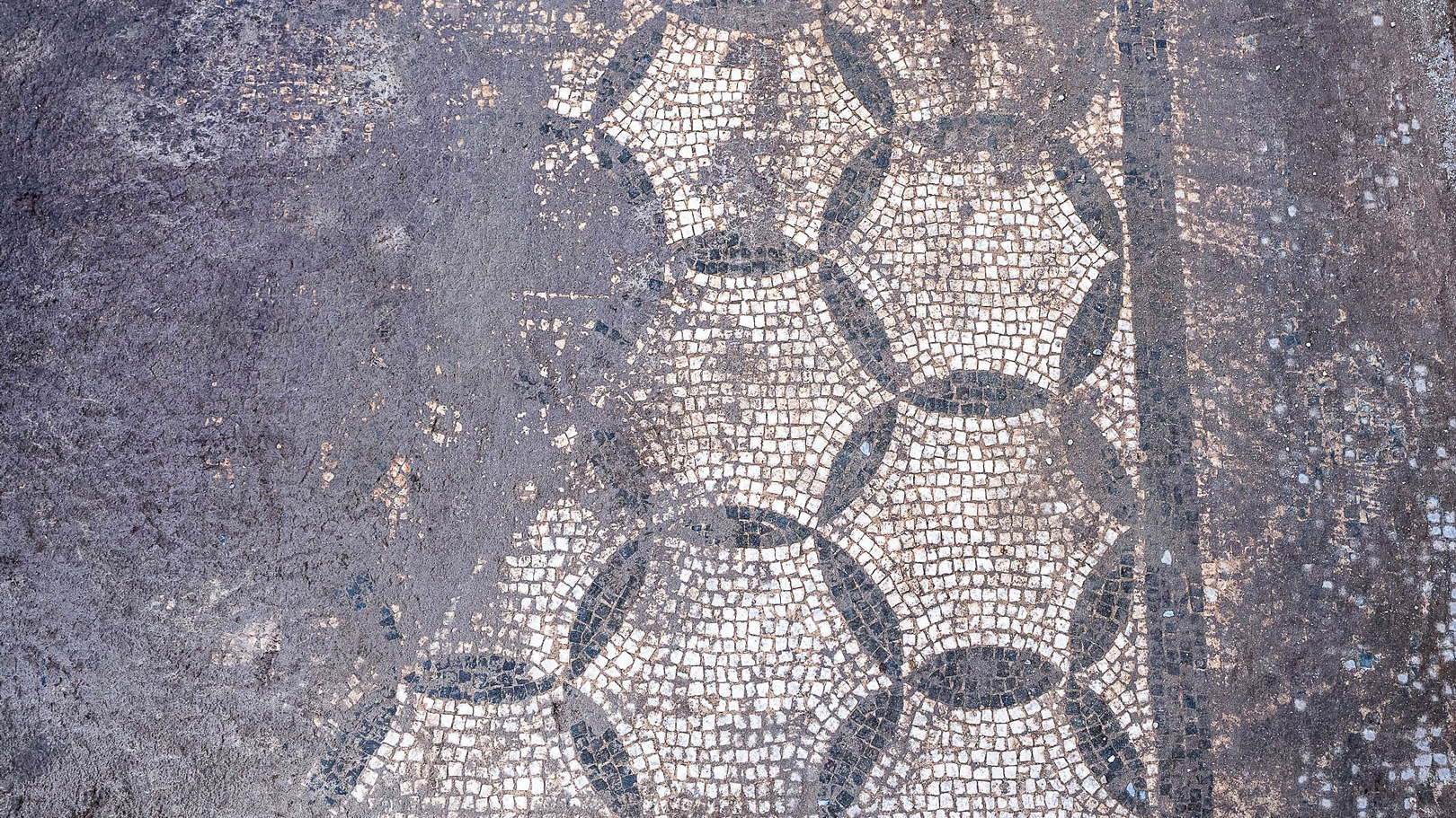 archaeologists work at an ancient Roman site revealing mosaic floors and frescoed walls of a villa