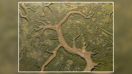 A top-down drone photograph of Newquay Estuary, Cornwall