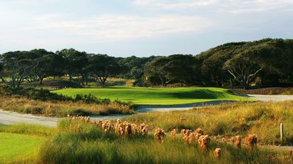 How to play Kiawah Island