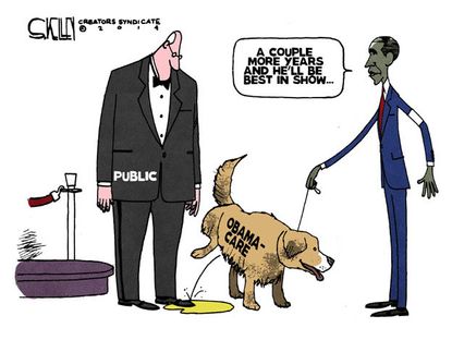 Obama cartoon Obamacare best-in-show