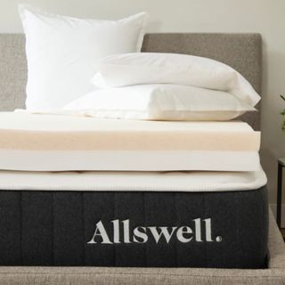 Mulberry Silk Pillowcase, Queen, Allswell 