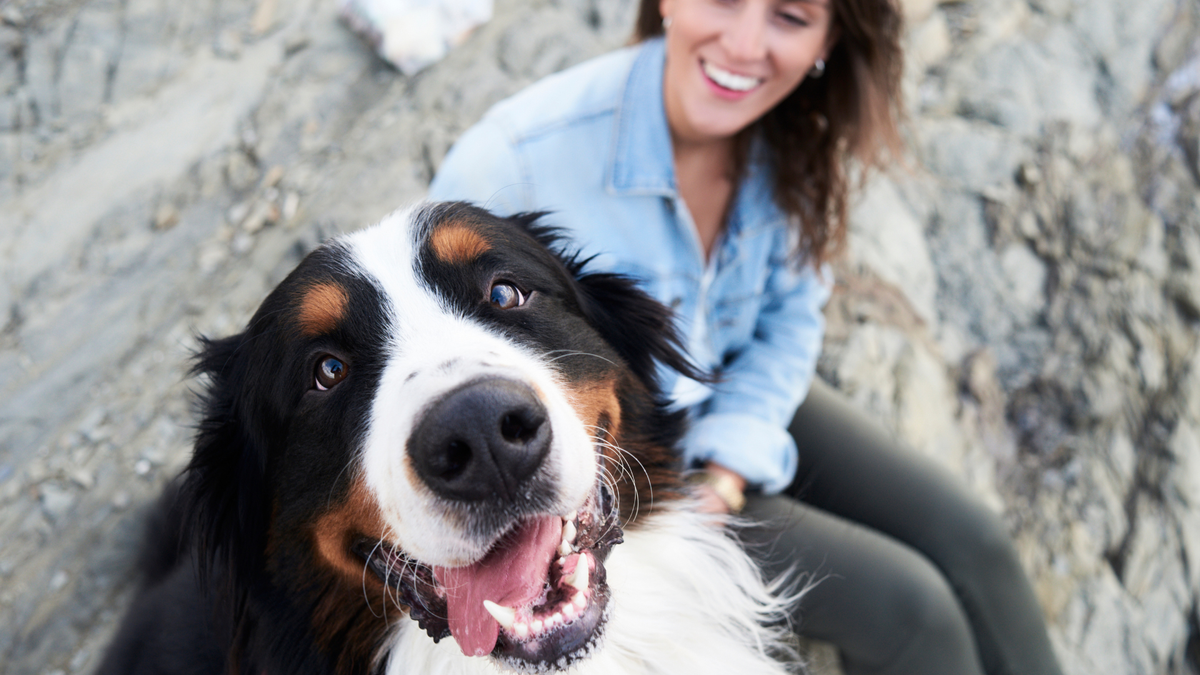 Dog looking happily at the camera with owner smiling behind them