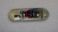 The vibrating pill is surrounded by a gelatinous membrane that dissolves when it is submerged in the stomach's acids. 