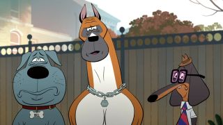 Bull, Rocco, and Fetch in Fixed