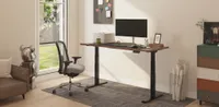 FlexiSpot E7