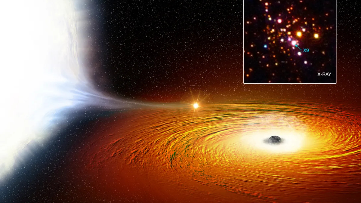 Can stars form around black holes? Space