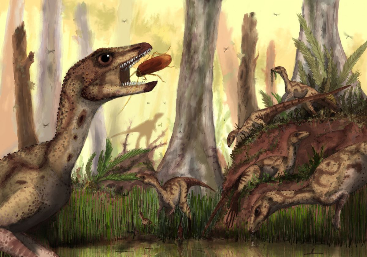 An artist&#039;s impression of the dinosaur &lt;em&gt;Laquintasaura venezuelae&lt;/em&gt;, which lived some 200 million years ago in what is now Venezuela.