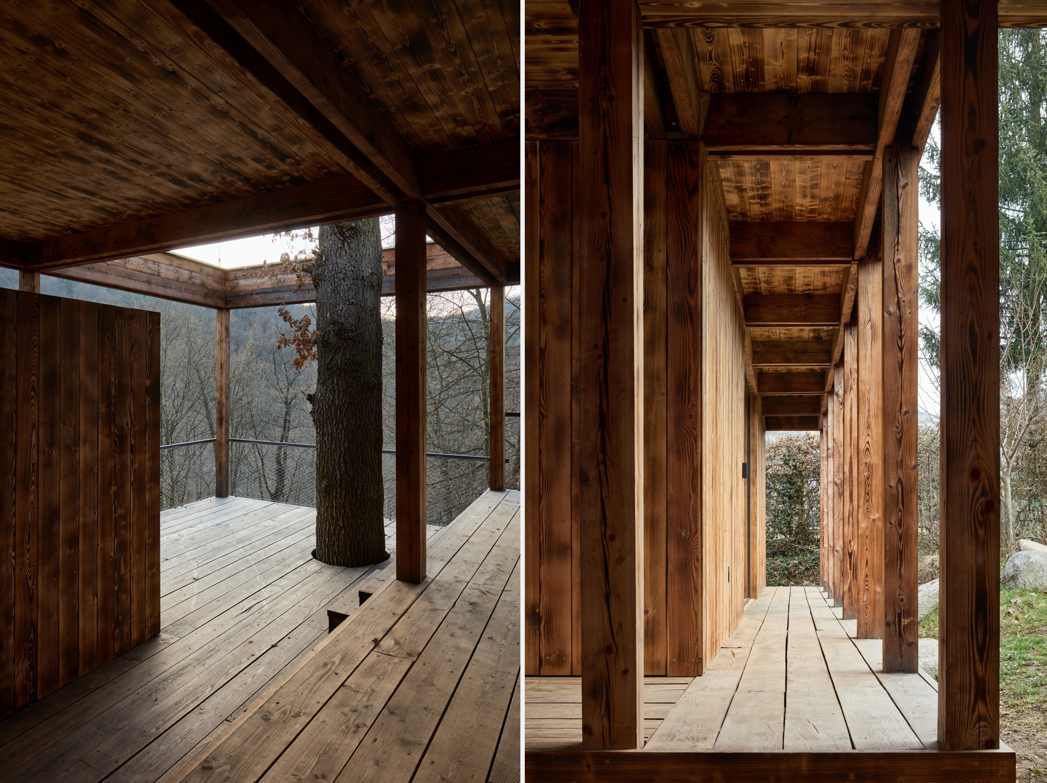 The covered walkway and deck incorporates an existing oak tree (left)