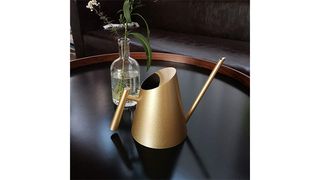 Cesun indoor watering can