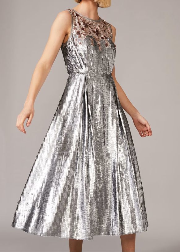 Image of silver sequin dress