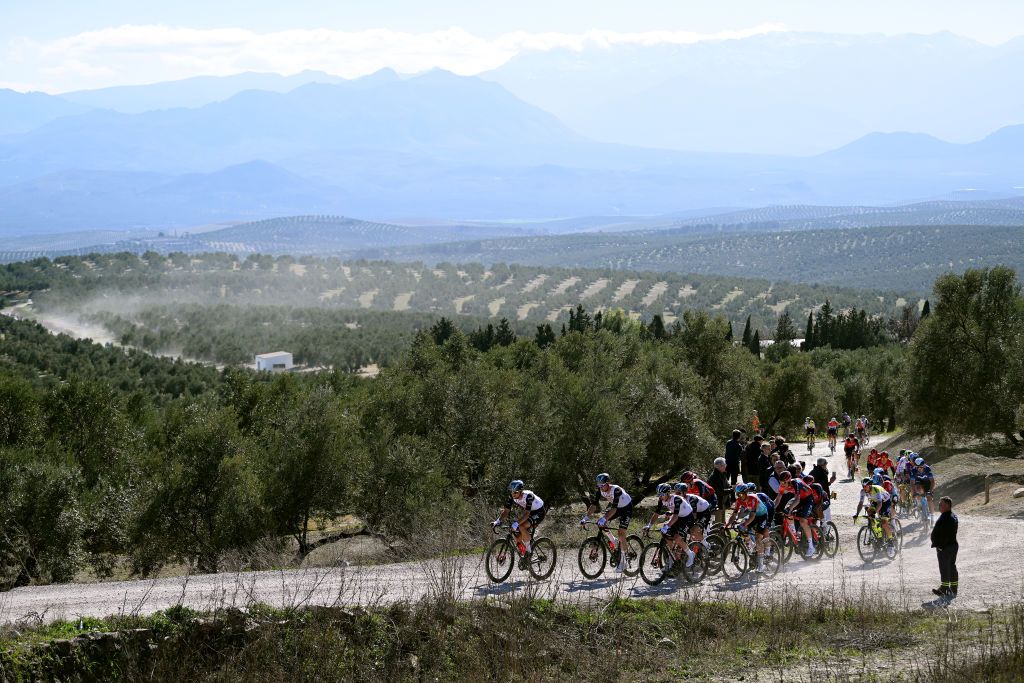 BAEZA SPAIN FEBRUARY 13 General view of Alessandro Covi of Italy Tim Wellens of Belgium Tadej Pogacar of Slovenia Marc Hirshi of Switzerland and UAE Team Emirates Ben Turner of The United Kingdom Connor Swift of Great Britain and Team INEOS Grenadiers and the peloton as it passes through a landscape of olive groves during the 2nd Clasica Jaen Paraiso Interior 2023 a 1789km one day race from beda to Baeza 752m ClsicaJan23 on February 13 2023 in Baeza Spain Photo by Dario BelingheriGetty Images