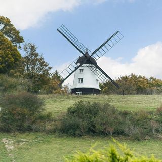 windmill with plants and trees