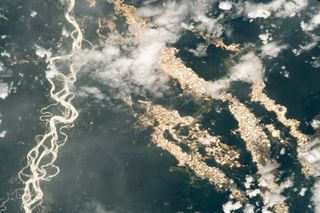 Mining pits glitter like gold in this aerial photo of the Peruvian Amazon